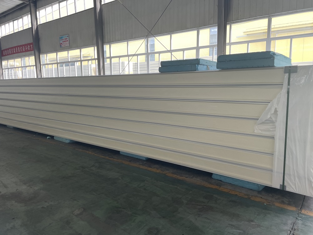Cold Room Sandwich Panels Pu Insulated Panels for Cold Room Storage Walking Freezer