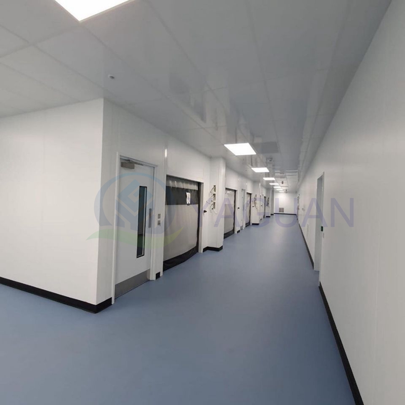 Clean Room Wall Panel and Ceiling Panel Fireproof Class A1 High-performance Panels Laboratory and Research Clean Room