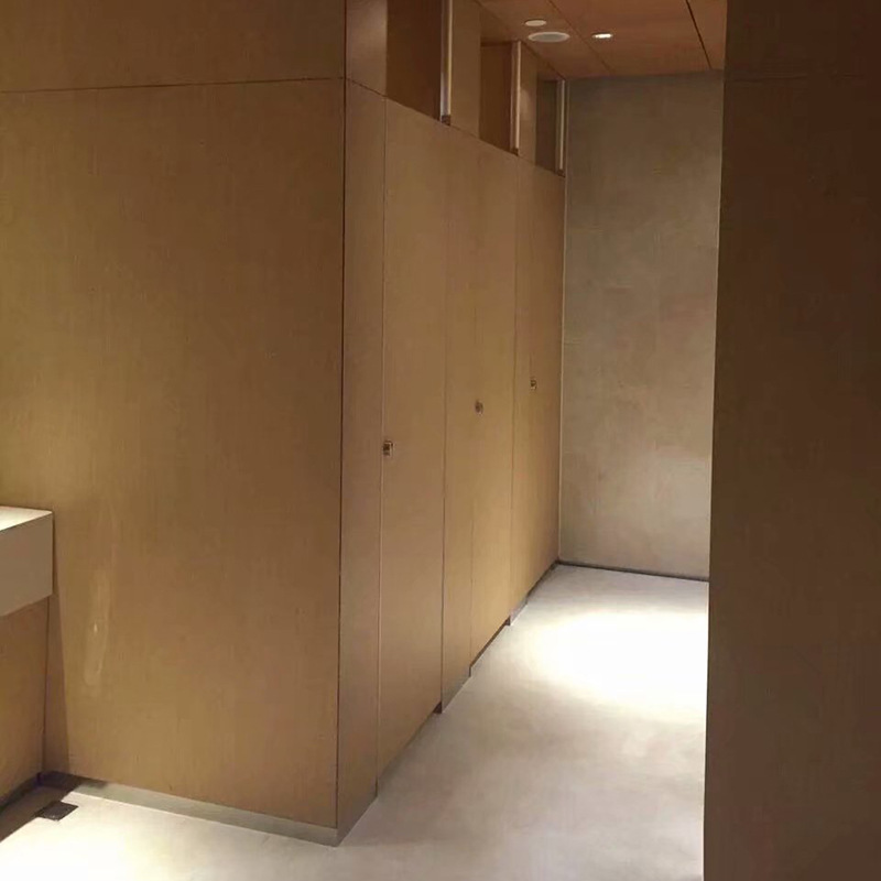 Aluminum Steel Honeycomb Lightweight Soundproof Bathroom Partition Wall Panels for School/Kindergarten Restrooms Eco-Friendly PE