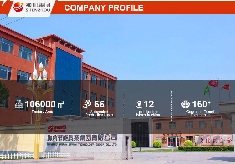Company Overview 1
