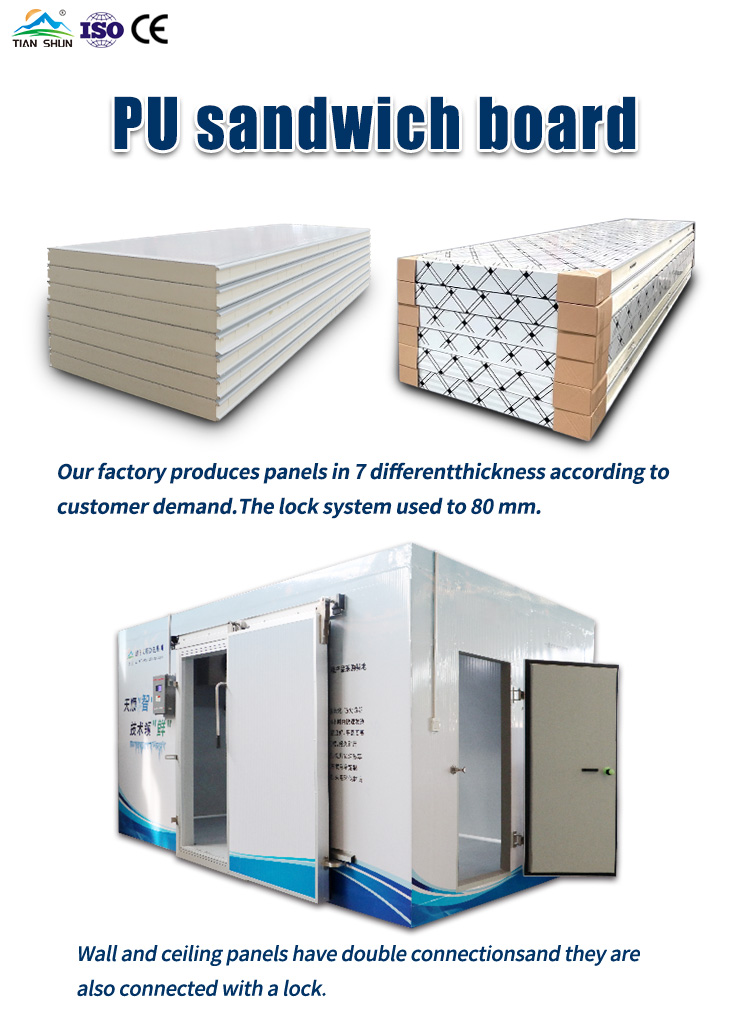 Insulated PU/PIR/PUR Sandwich Panels