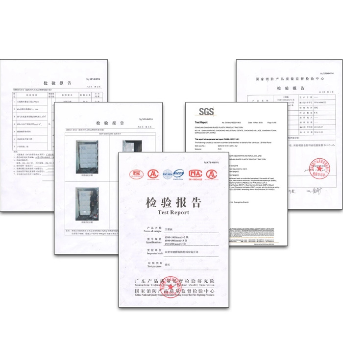 CE SGS Environmental Certification docs