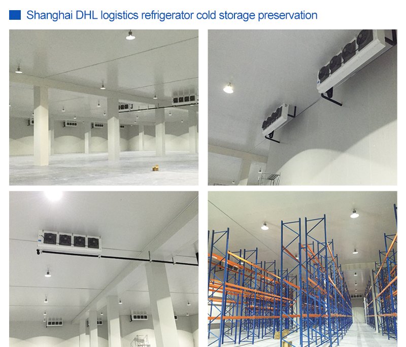 DHL Project