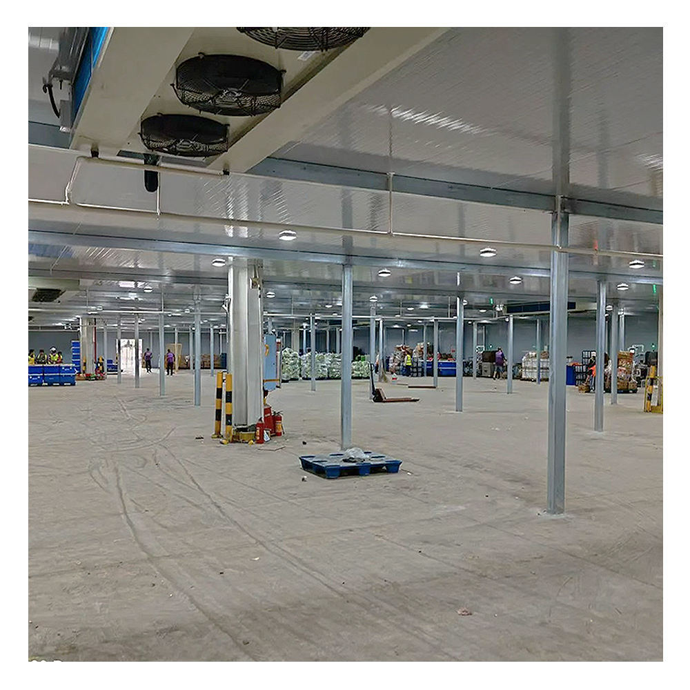 Cold Chain Logistics PIR/PU Insulated Panel Cold Storage Multi-temperature Zone Cold Storage Project