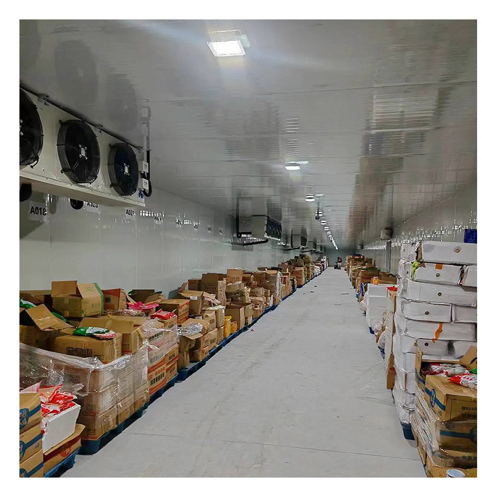 Cold Chain Logistics PIR/PU Insulated Panel Cold Storage Multi-temperature Zone Cold Storage Project