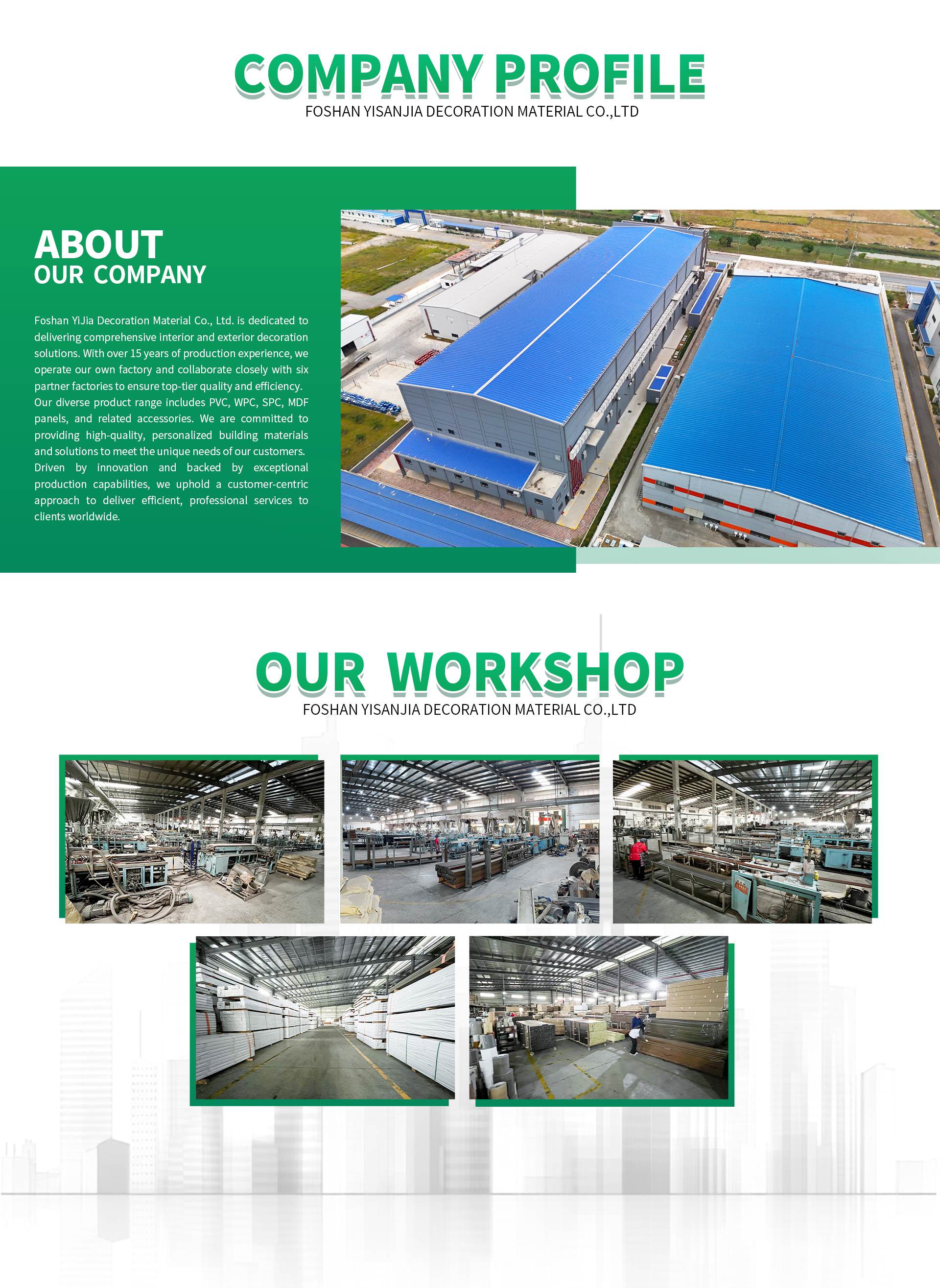 Company Overview 1