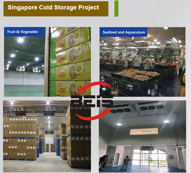 Singapore Cold Storage Project Layout