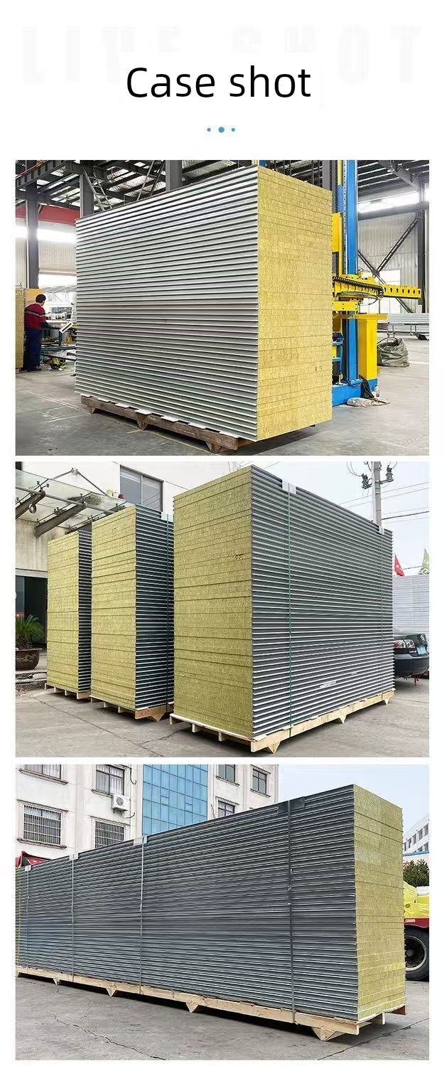 Reliable 50mm Cleanroom Partition Panel For Laboratory And Research Center Interior Wall