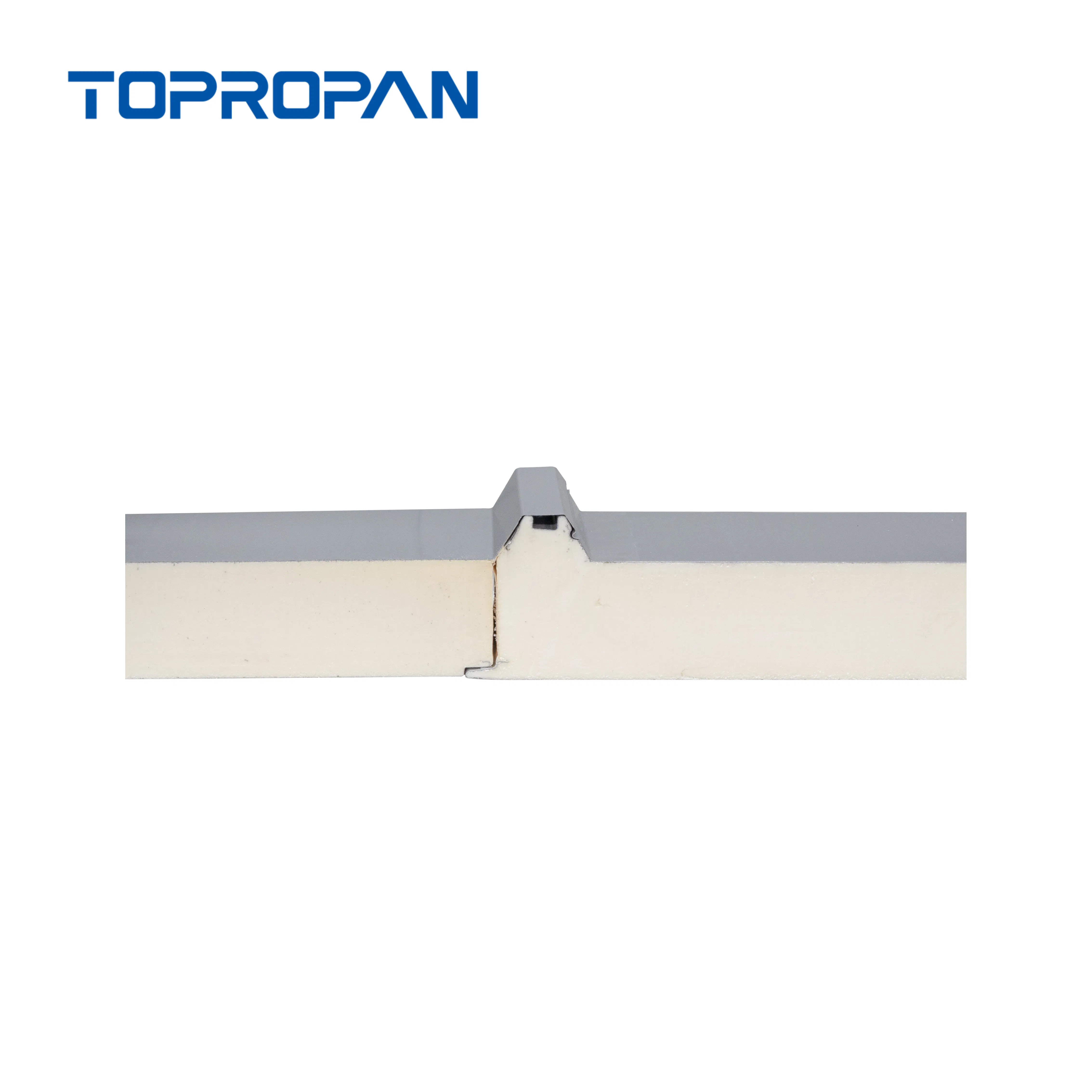 Versatile Insulated Panel for Efficient Roof and Wall Applications