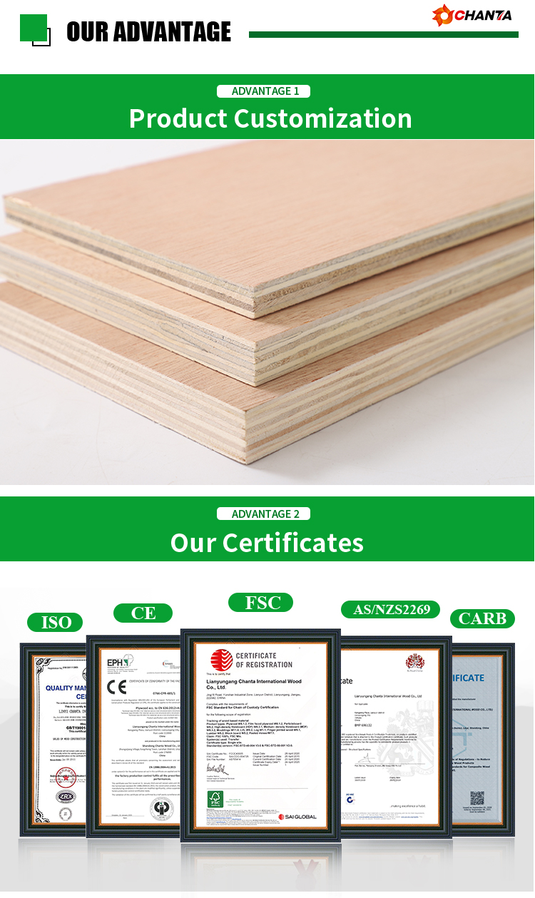OSB Production Process Line
