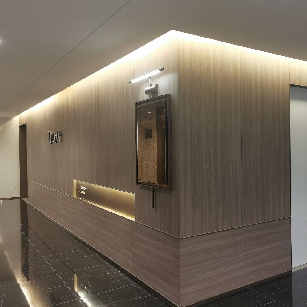 Customized Water-resistant and Wear-resistant HPL Fireproof Board Decorative High-pressure Panel for Public Walls