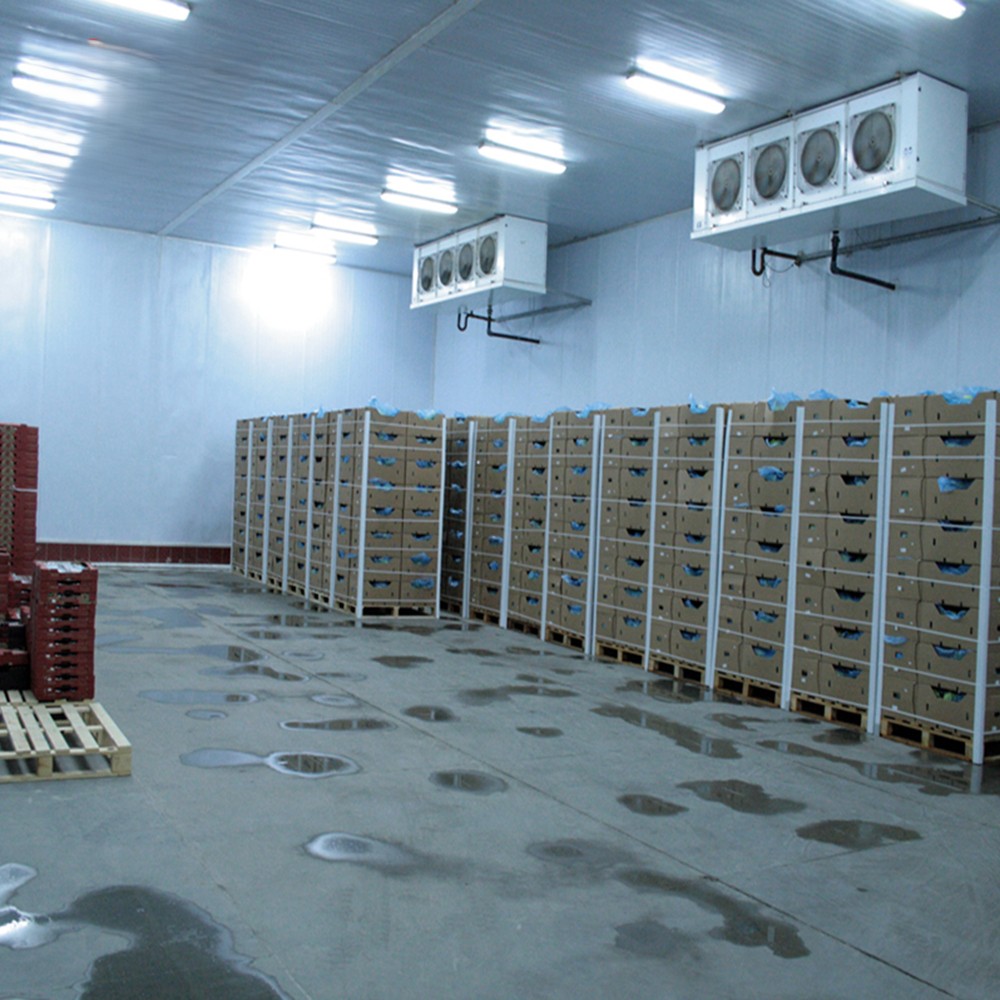 PIR Insulated Panels for Vegetables Logistics