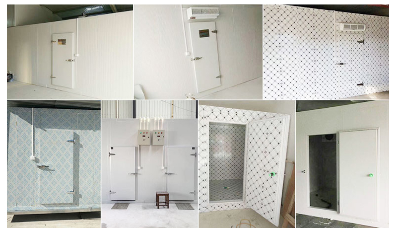 Cold Room Door Design 2