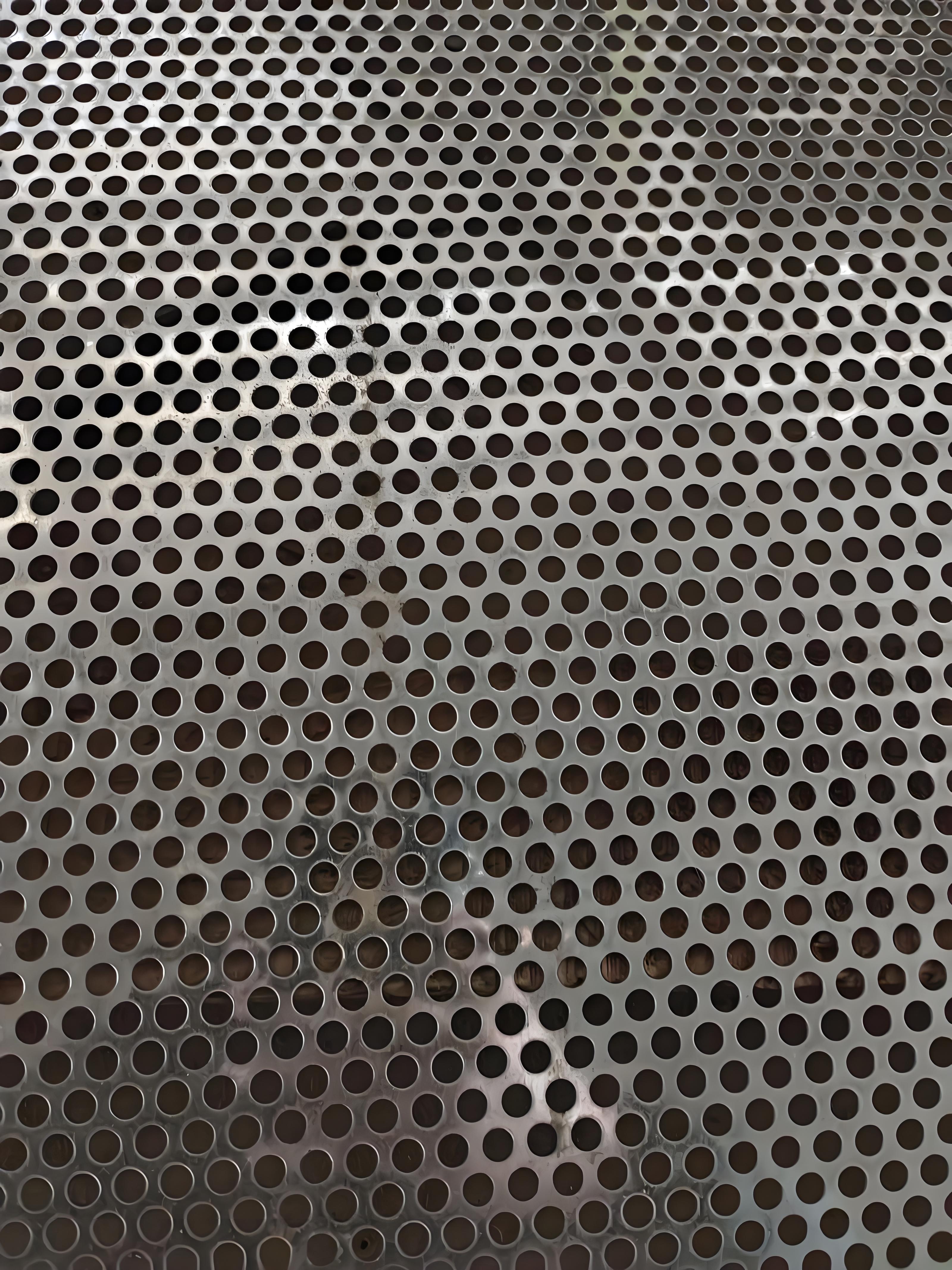 Custom Perforated Metal Sheets Slotted Hole Steel Panels for Screen Application for Speaker Grilles Decorative Building Facades
