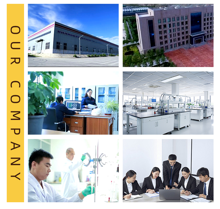 Product Application Display 2