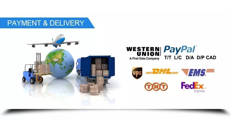 Container shipping and logistics loading