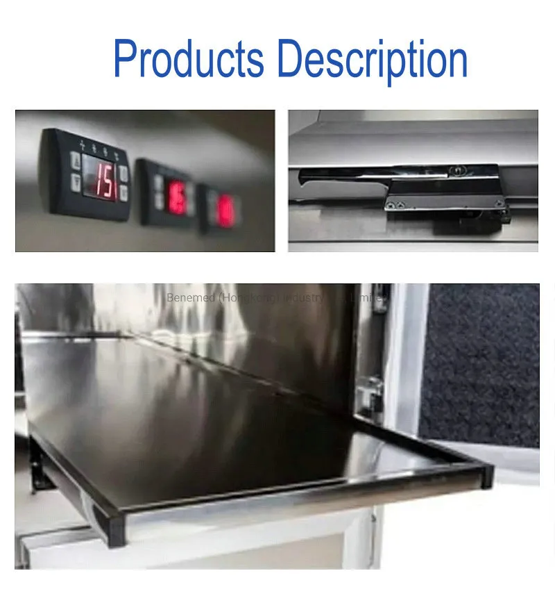 Mortuary Refrigerator Rear View