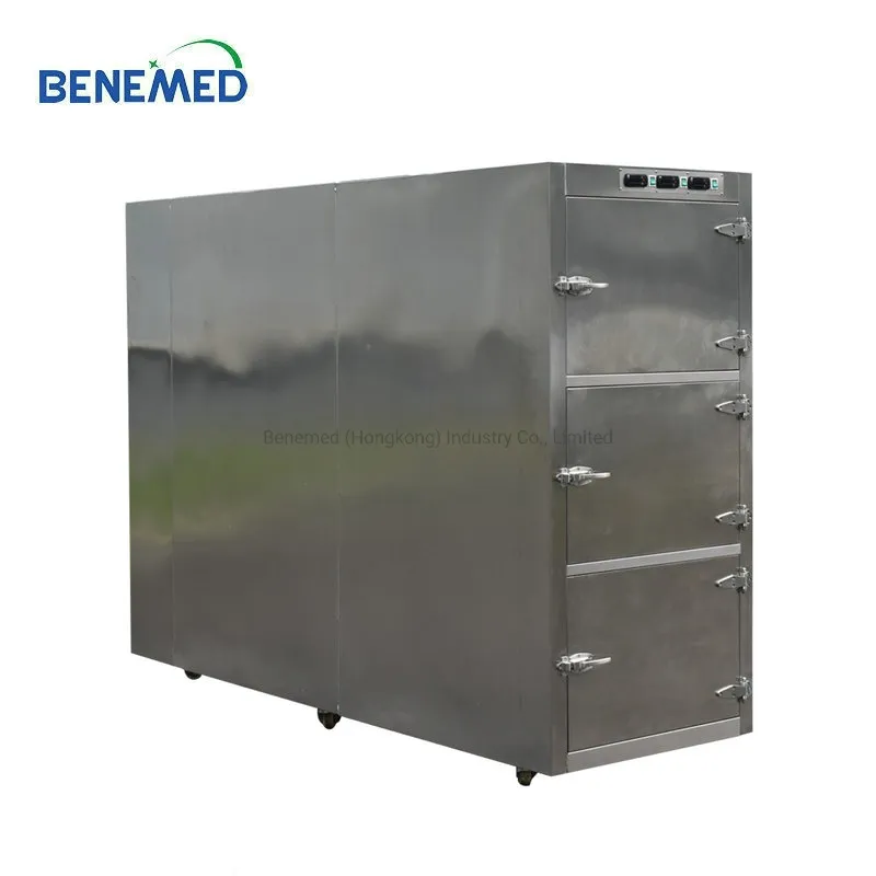 Morgue Refrigerator Main View