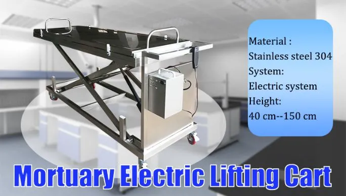Electric Lifter Overview