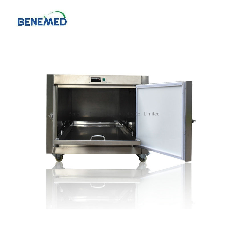 Stainless Steel Single Drawer Mortuary Coffin Freezer Funeral Bodies Morgue Corpse Refrigerator Manufacturers