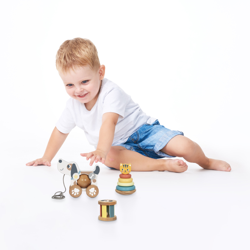 3 in 1 Gift Box Cat Shape Stacking Toy Wooden Rainbow Tower Dog Baby Pull Along Toys Cylinder Rolling Drum Bell