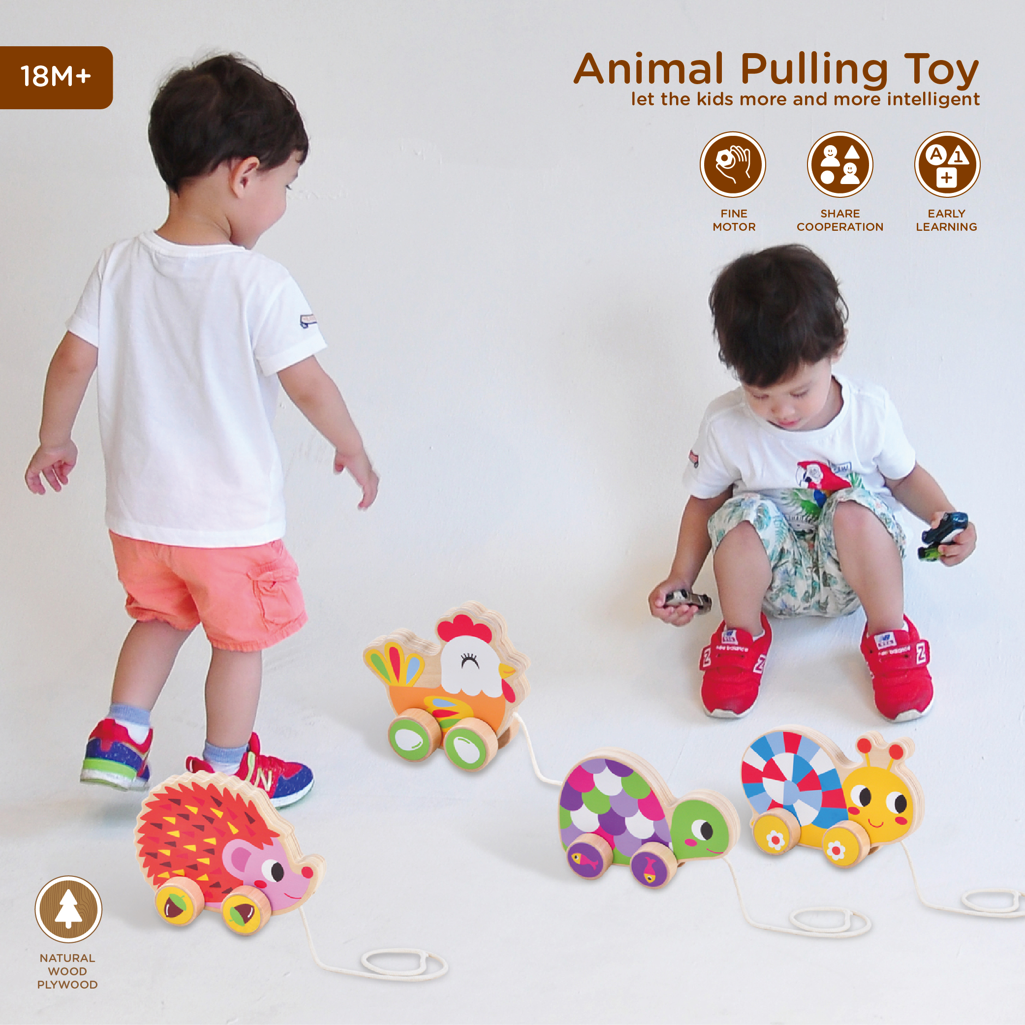 Hedgehog Pull Toy View 1