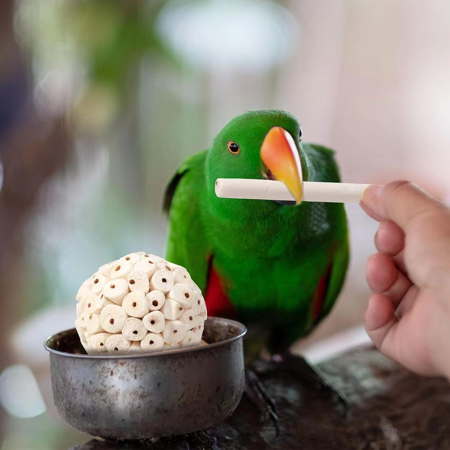 Handcrafted Eco-Friendly Soft Bird Toy Natural Shreddable Chew Wholesale Sola Ball Toy for Parrot Parrotlet Budgie &amp; Finch