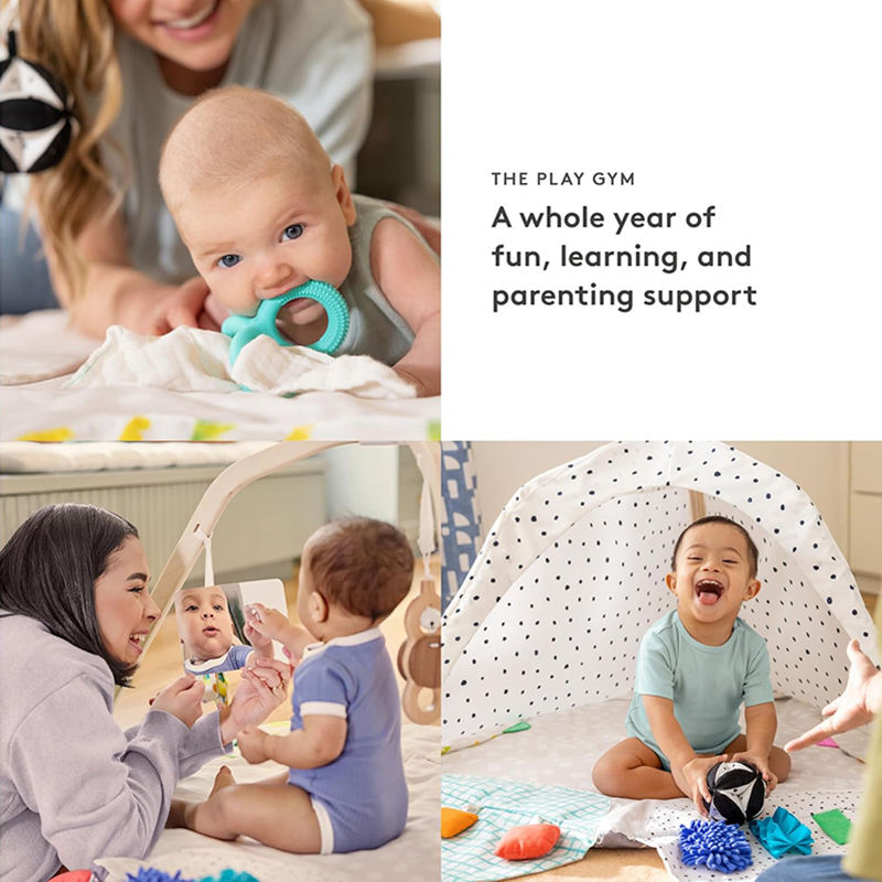 Play Gym Image 2