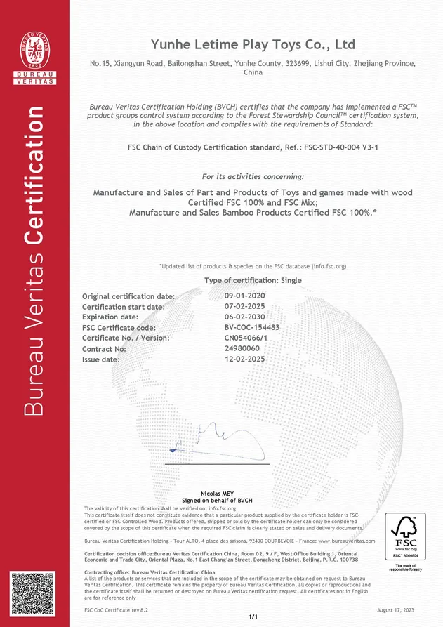 Toy safety certificate 2