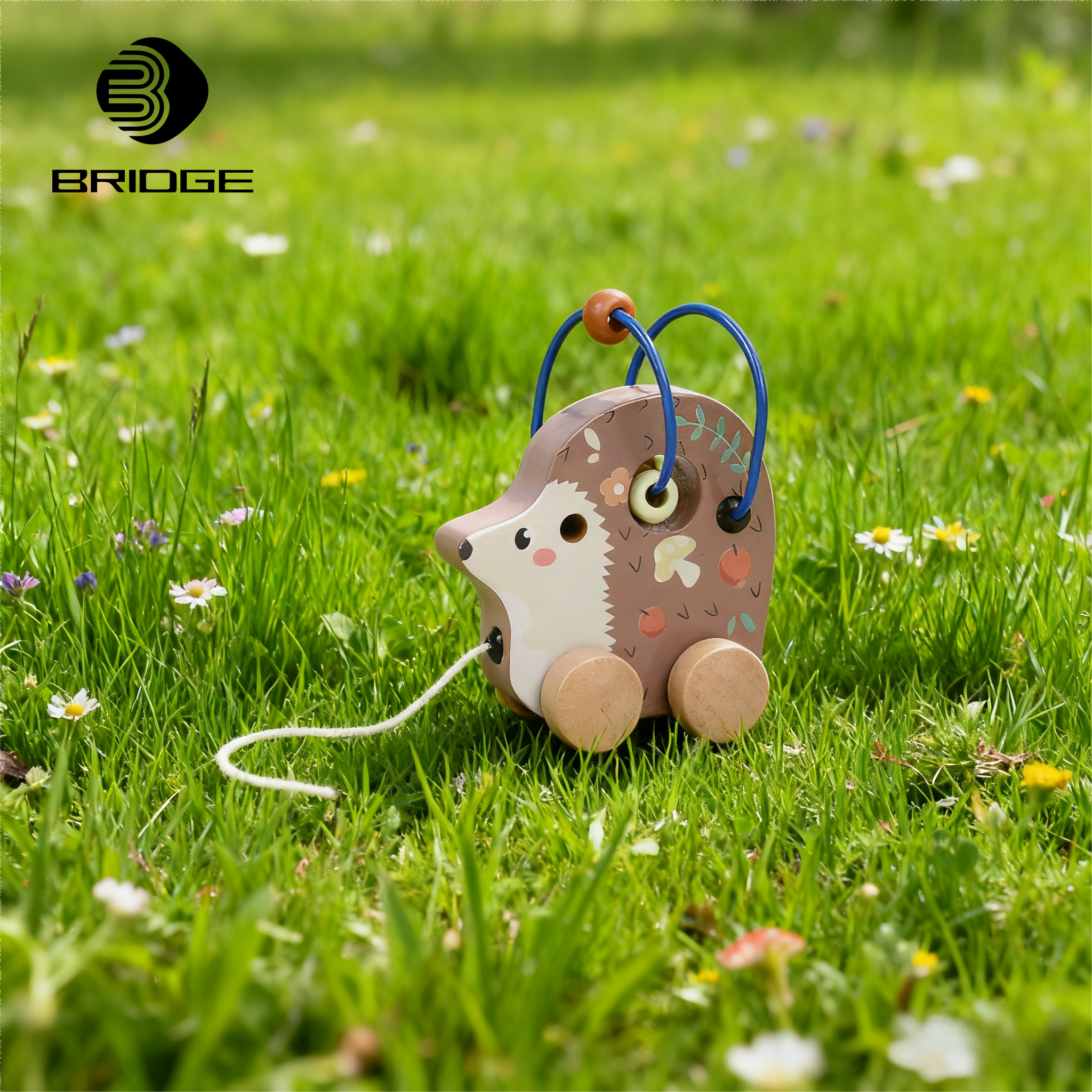 Wholesale Educational Montessori Pull Hedgehog Car for Toddlers Made of Wood Bridge Home China Ningbo for Kids 2-4 &amp; 5-7 Years