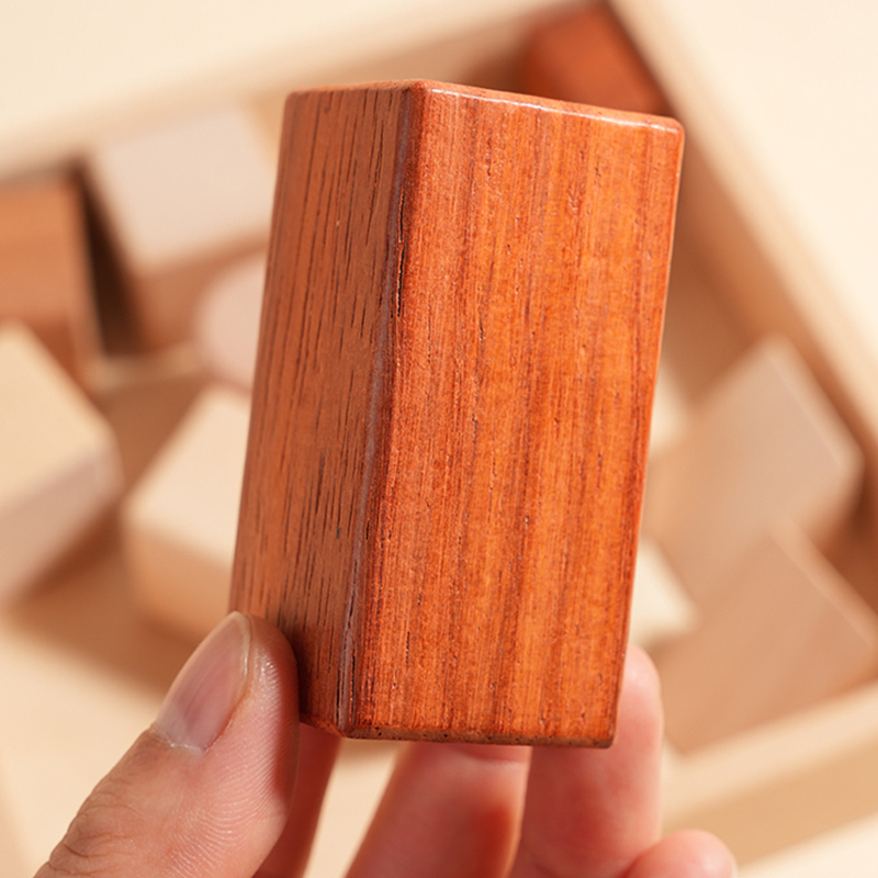 Solid Wood Montessori Sky Educational Model Toy Building Blocks Set for Kids-Montessori Inspired Developing Stacking