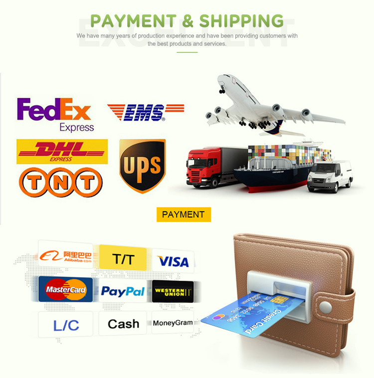 Payment & Shipping Details