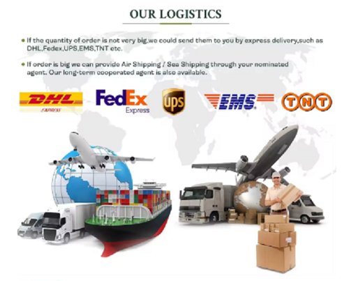 Shipping Logistics