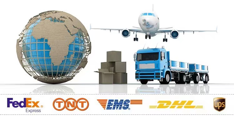 Delivery cargo transport details