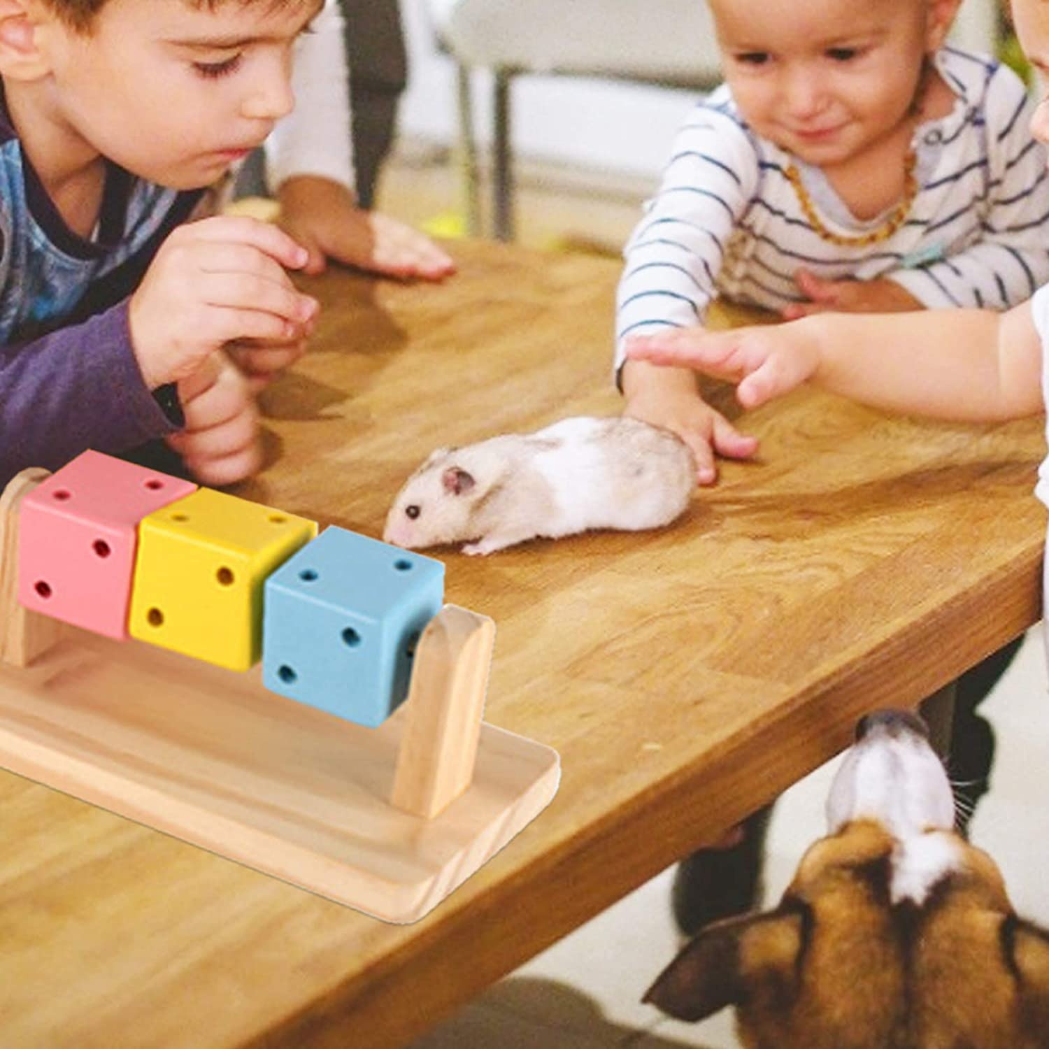 Pet chew toy model view