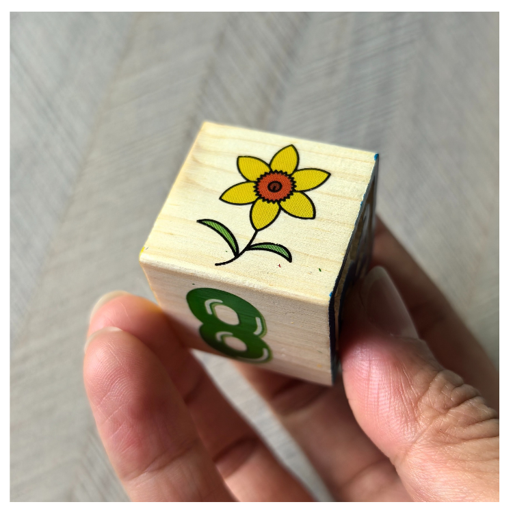Heat Transfer Printing