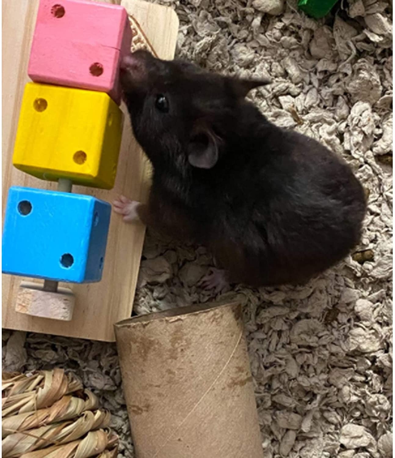 Hamster chew toys, natural wooden molar toys, colorful wooden blocks suitable for intelligent training and play of small animals