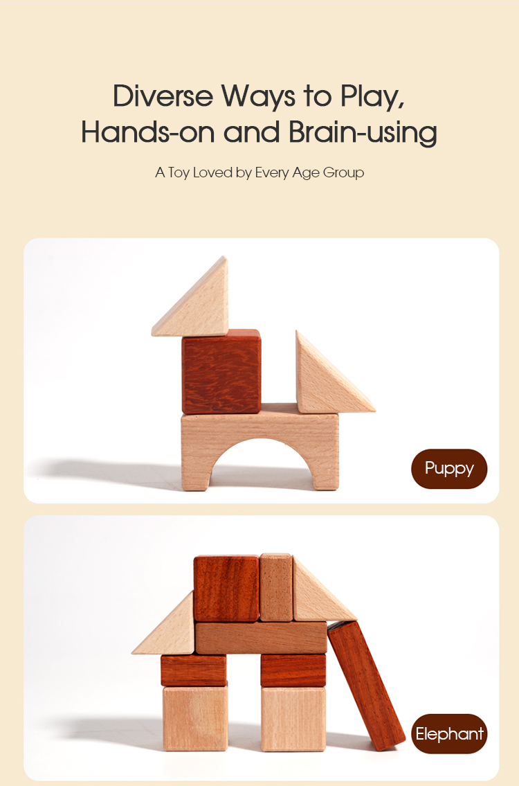 Solid Wood Building Blocks 9