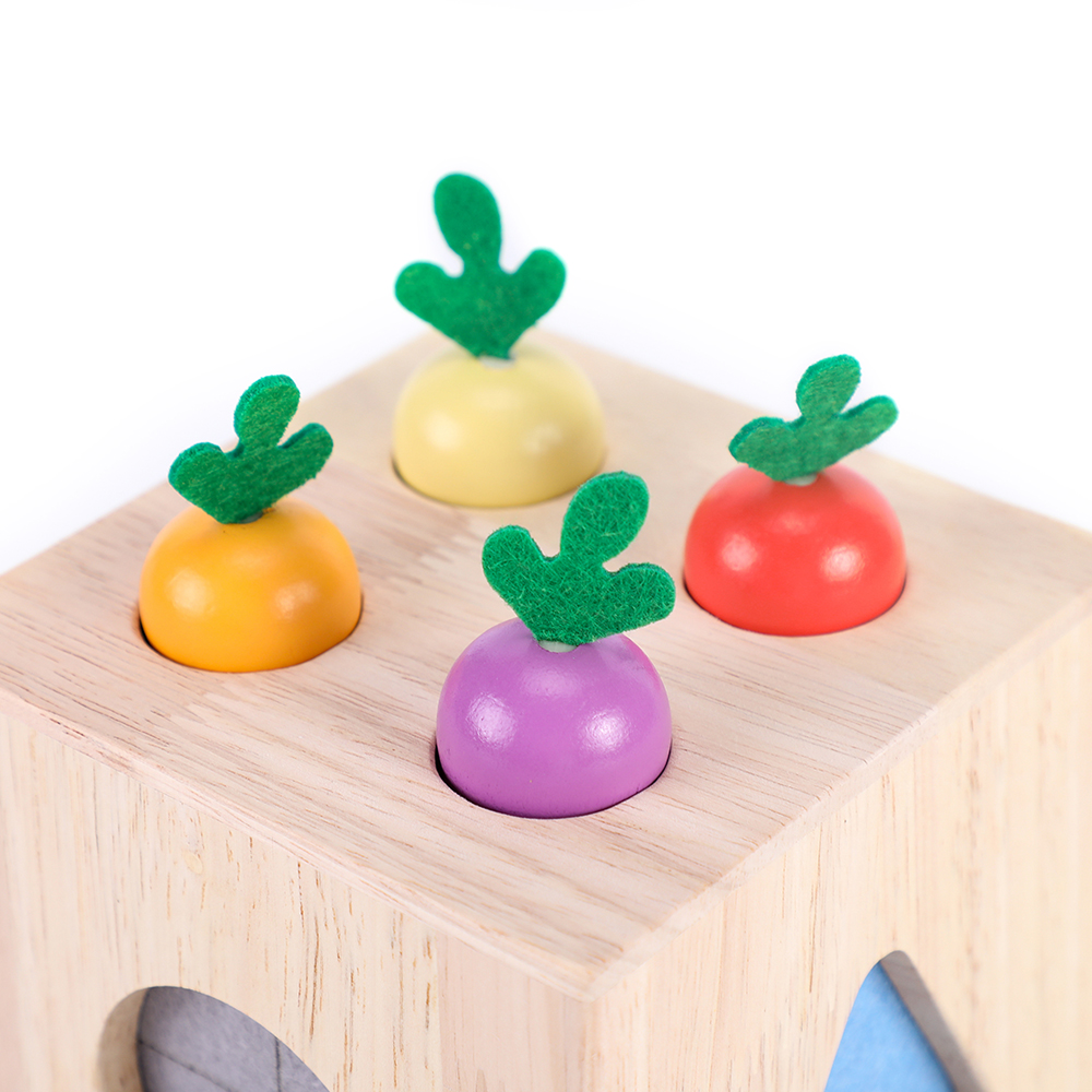 EDUsense Baby Wooden Silicone Touch Radish Blocks Color Recognition Box Toys Shape Matching Montessori Educational Toys