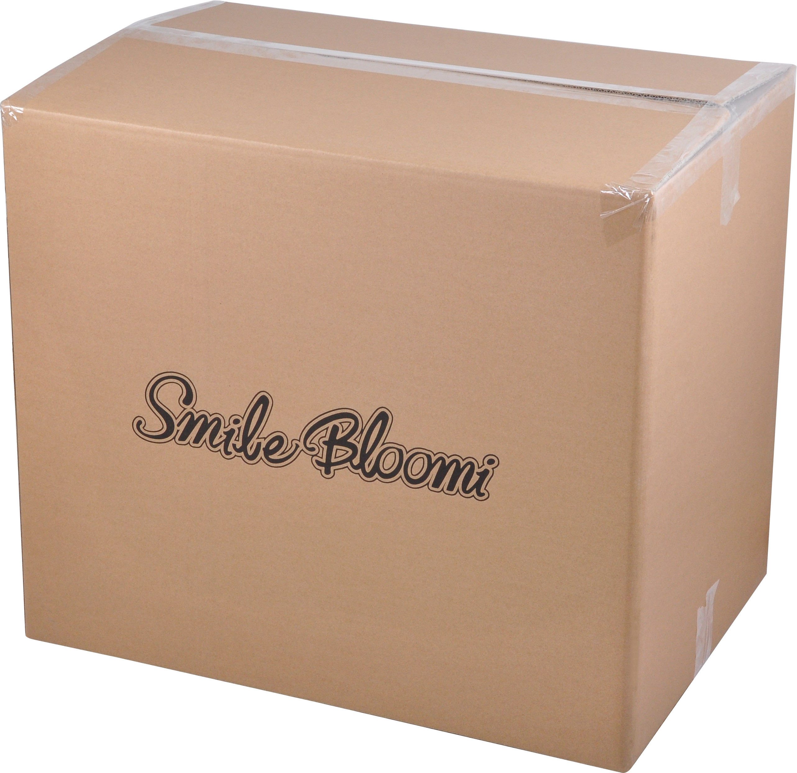 Shipping Carton