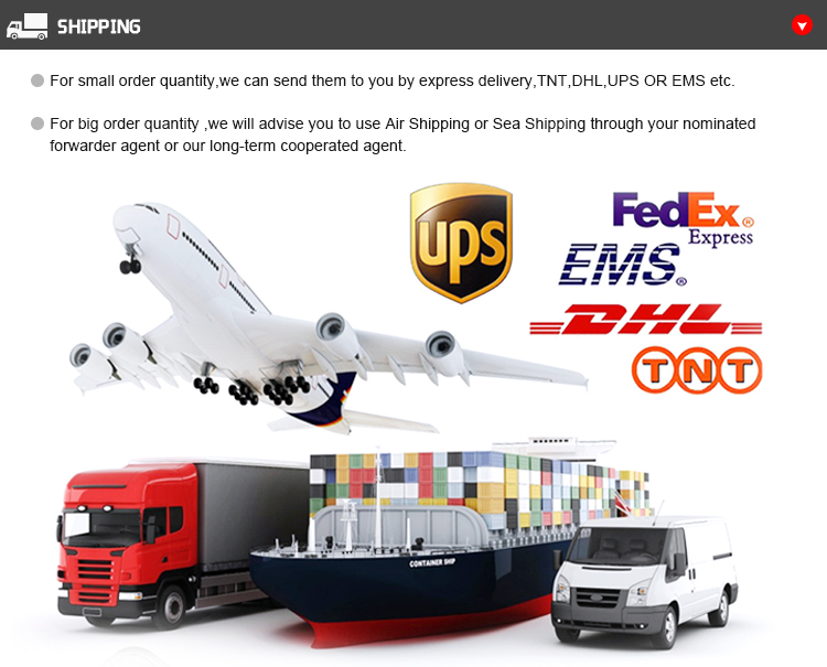 Shipping and Logistics