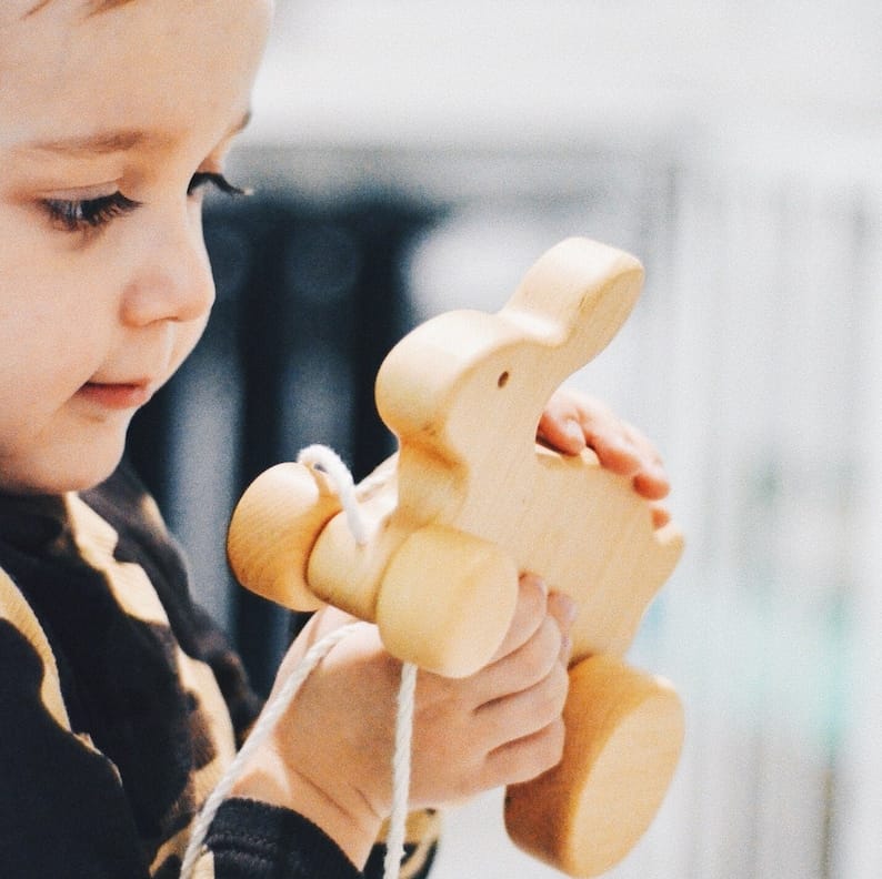 Natural Wooden Push Bunny Craft Living Room Decoration For Babies Wooden Pull Along Hare Craft Toy Easter Gift For Babies
