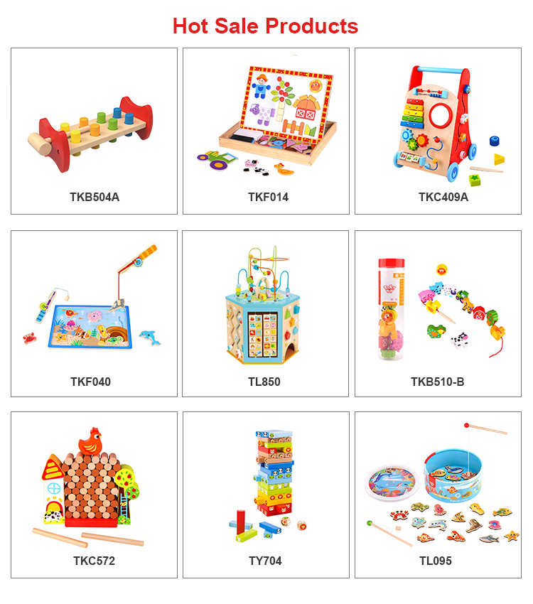 Educational Wooden Toy Collections
