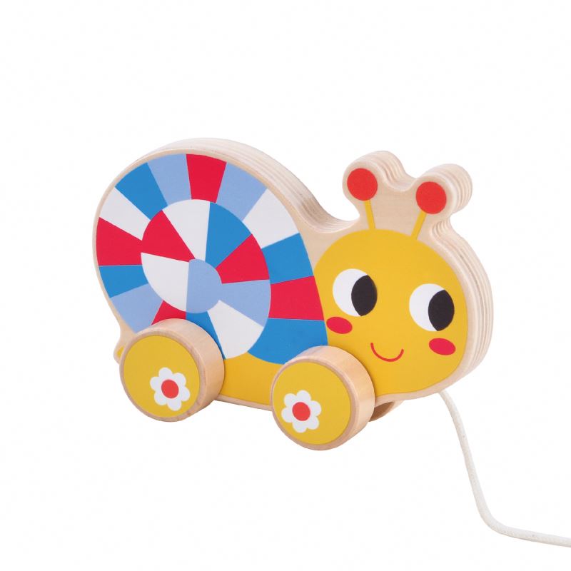 Montessori Toys Animal Shape Wooden Hedgehog Pull Along Toy