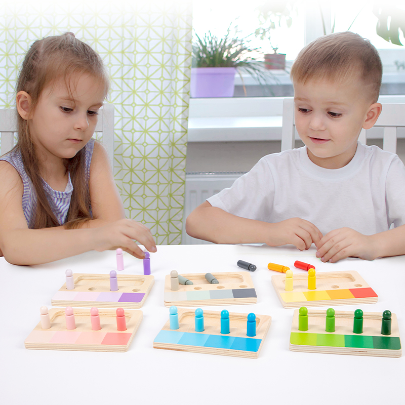 Kids Cylinder Educational Montessori Baby Toy Color Matching Board Wooden Cognitive Development Sensory Teaching Aids Ages 0-14+