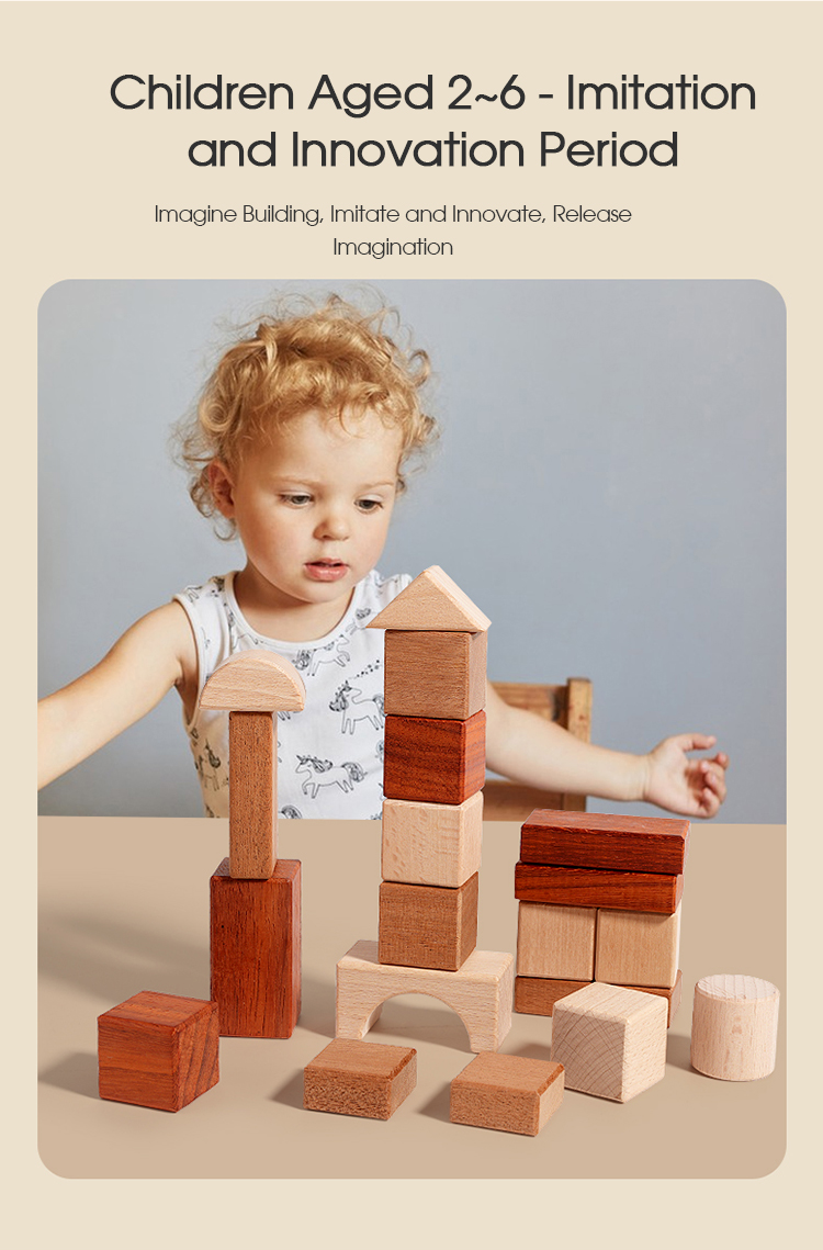 Solid Wood Building Blocks 6