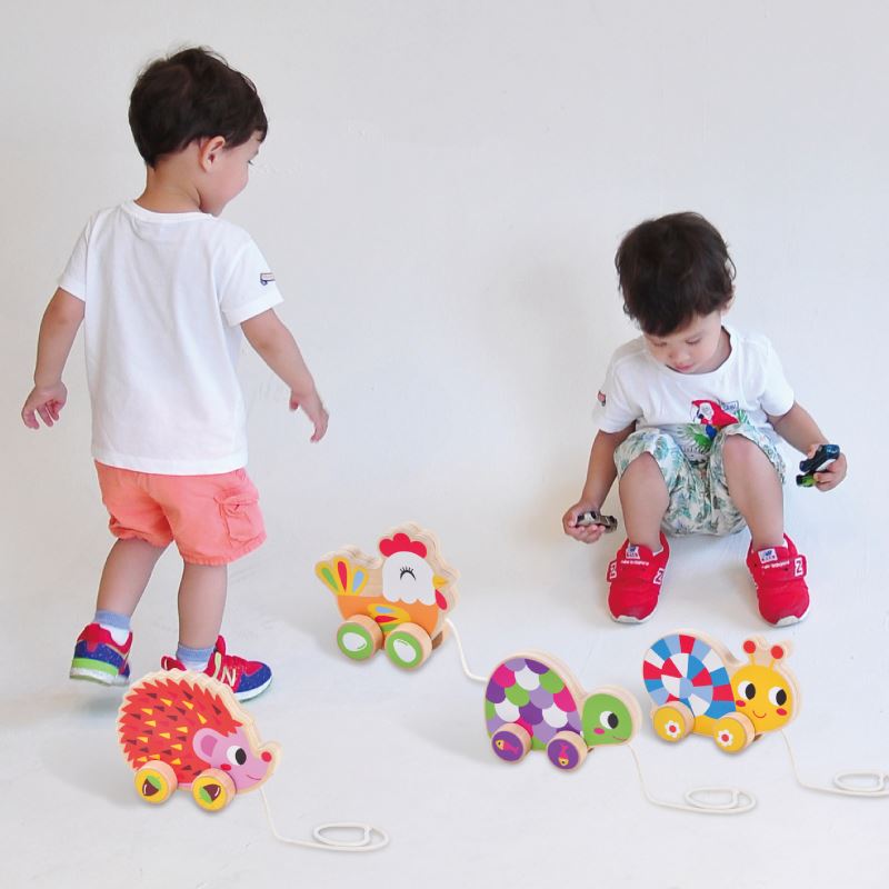 Montessori Toys Animal Shape Wooden Hedgehog Pull Along Toy