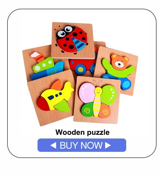 Educational Montessori Toy 1