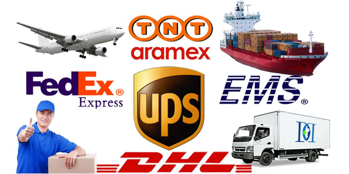 Payment and Transport Details
