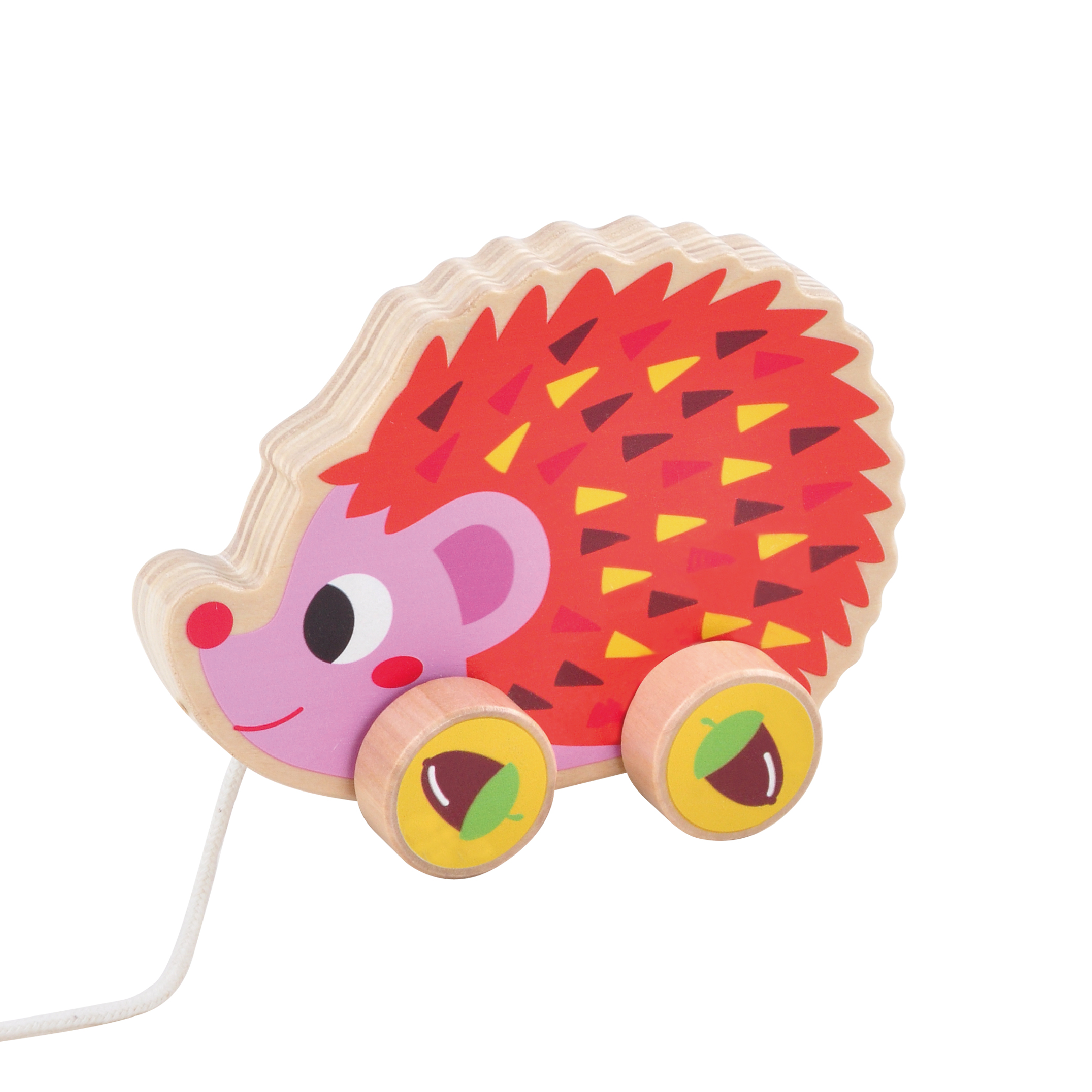 Hedgehog Pull Toy View 2